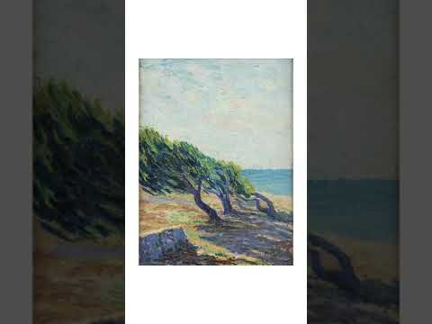 Video: Gallelli Massimiliano