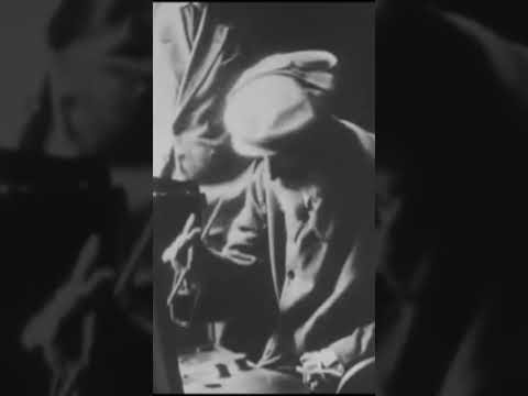 Video: Pierre-Auguste Renoir