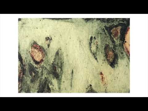 Video: Carena Antonio