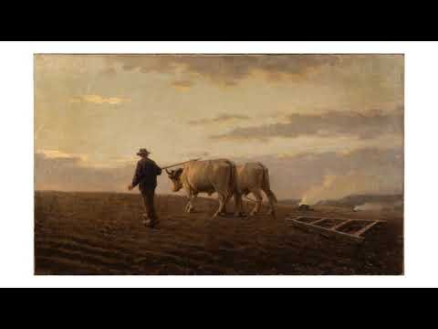 Video: Pittara Carlo
