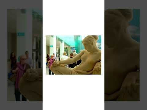 Video: Ginotti Giacomo